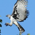 Death and Deliverance