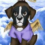 Do Dogs Go to Heaven