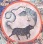 Space Aliens, Pigs, Roosters, and Snakes