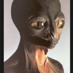 Humans may be Everywhere