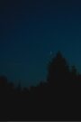 Sonnet: Nocturne